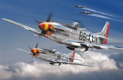 P51