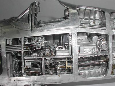 P51