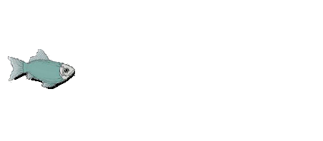 jpg