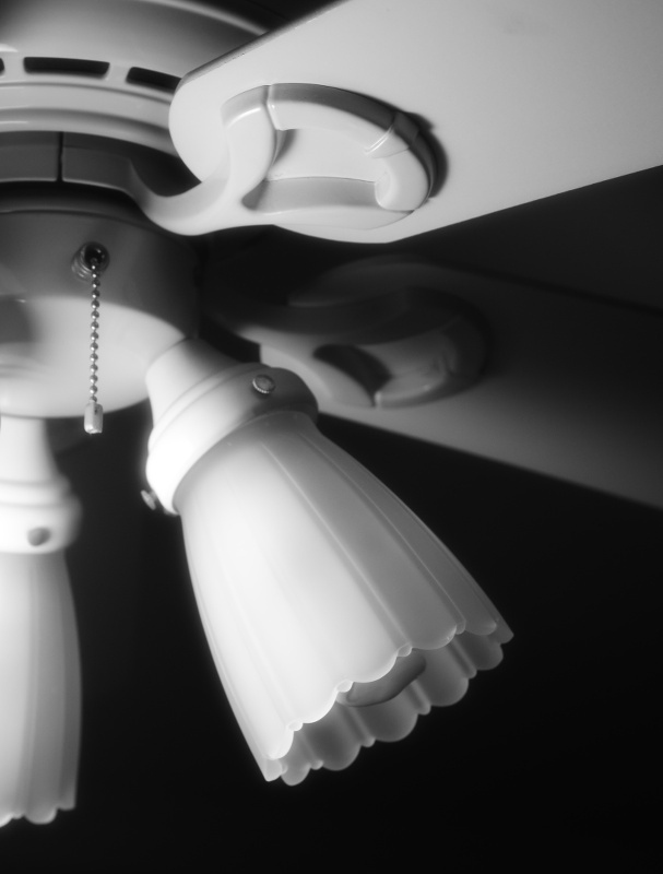 fanlight8102.JPG