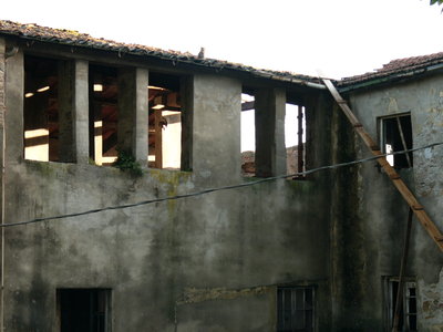 jpg